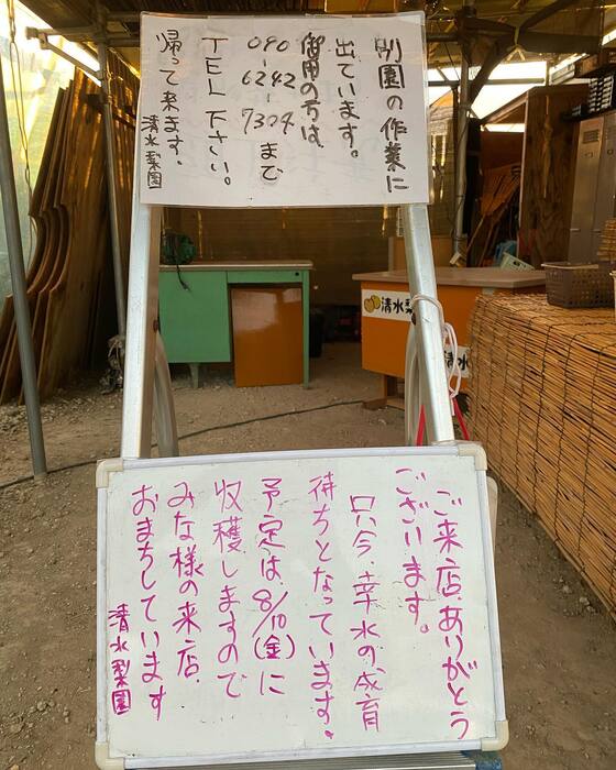画像342