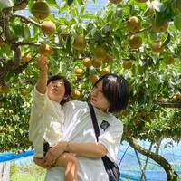 画像354
