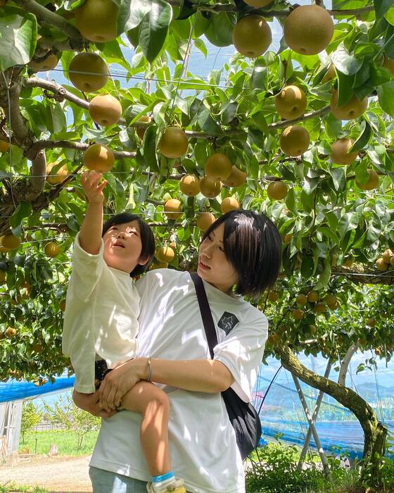 画像354
