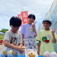 画像392