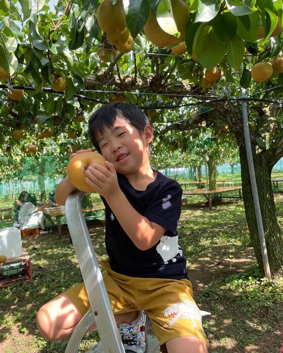 画像398