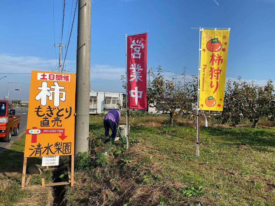 画像449