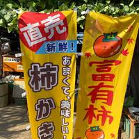 画像450