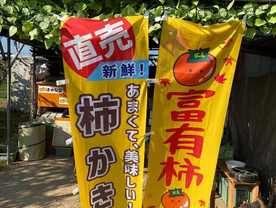 画像450