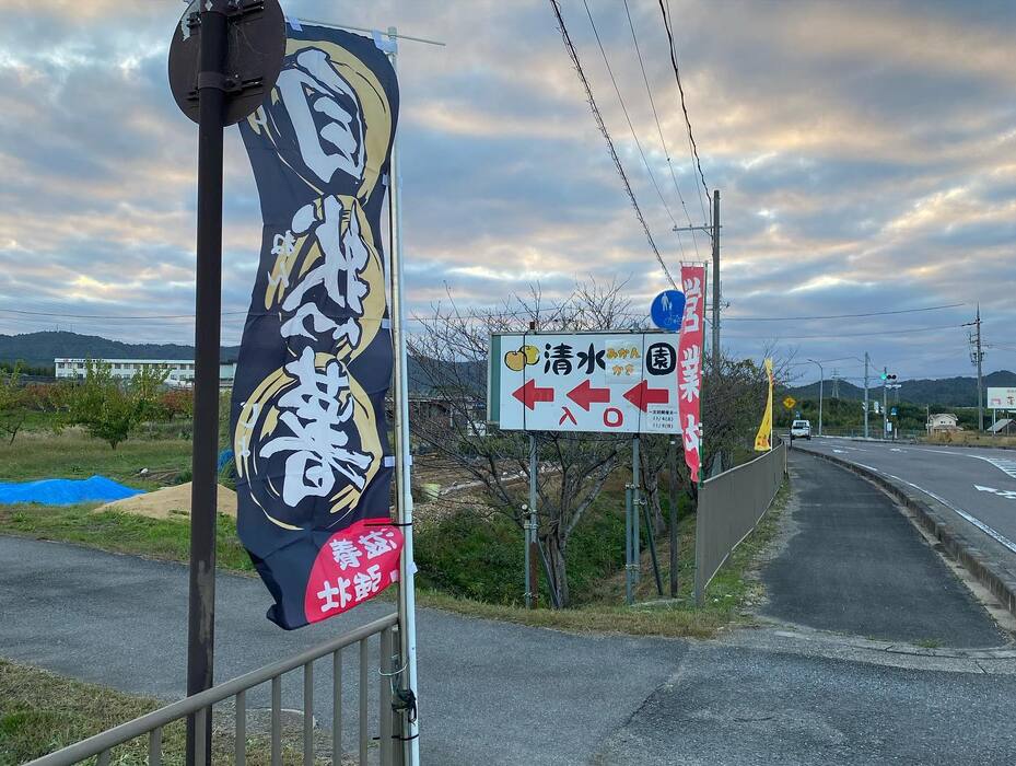 画像461