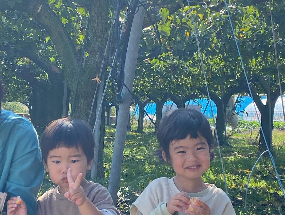 画像465