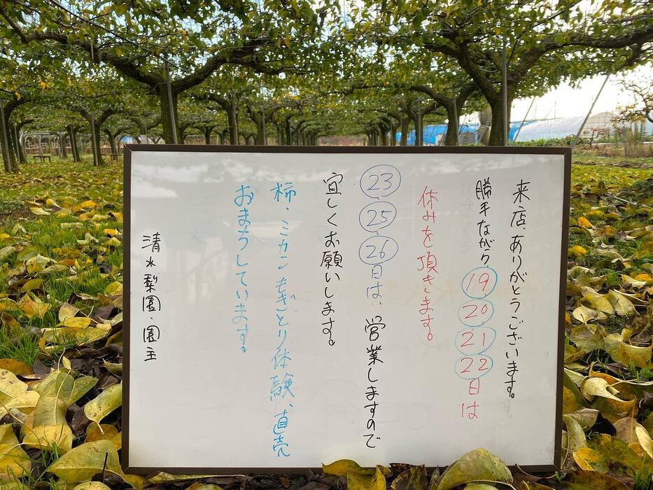 画像468