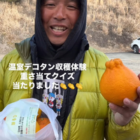 画像572