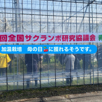 画像603