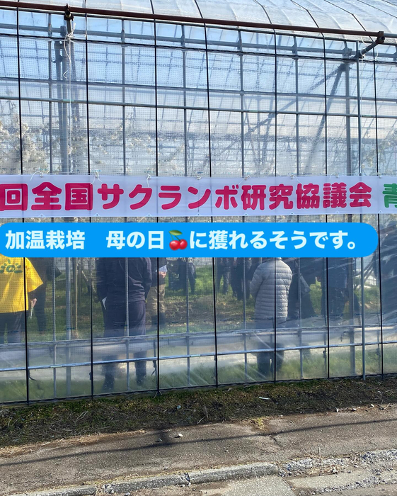 画像603