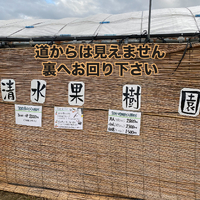 画像615