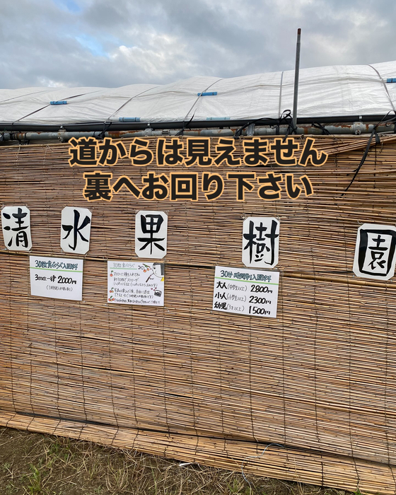 画像615