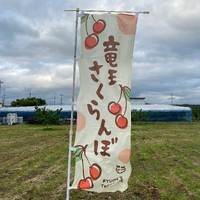 画像616