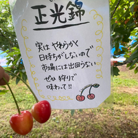 画像622