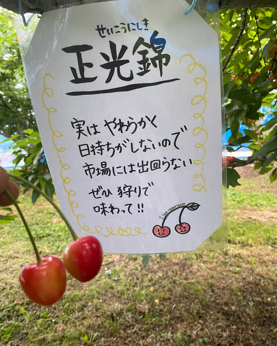 画像622