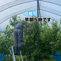 画像625