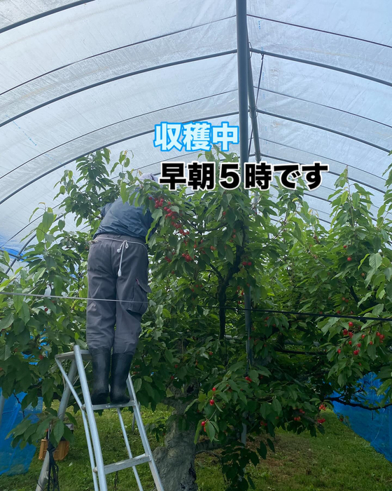 画像625
