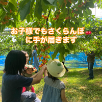 画像626
