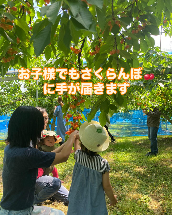 画像626