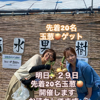 画像628
