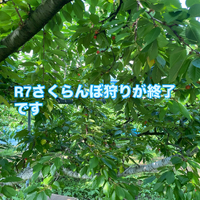 画像631