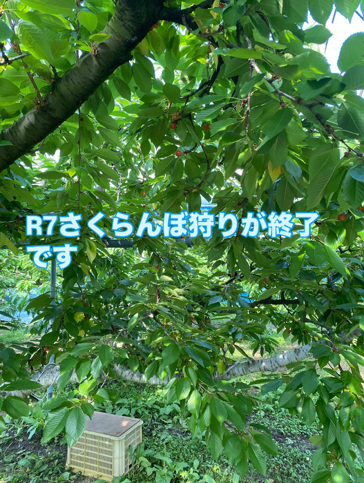 画像631