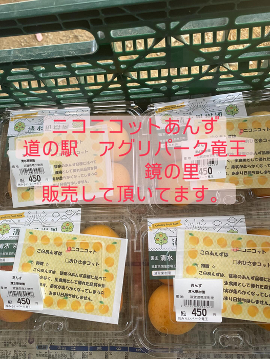 画像661
