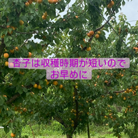 画像662