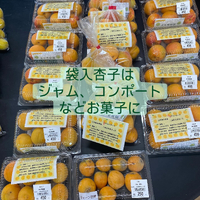 画像664