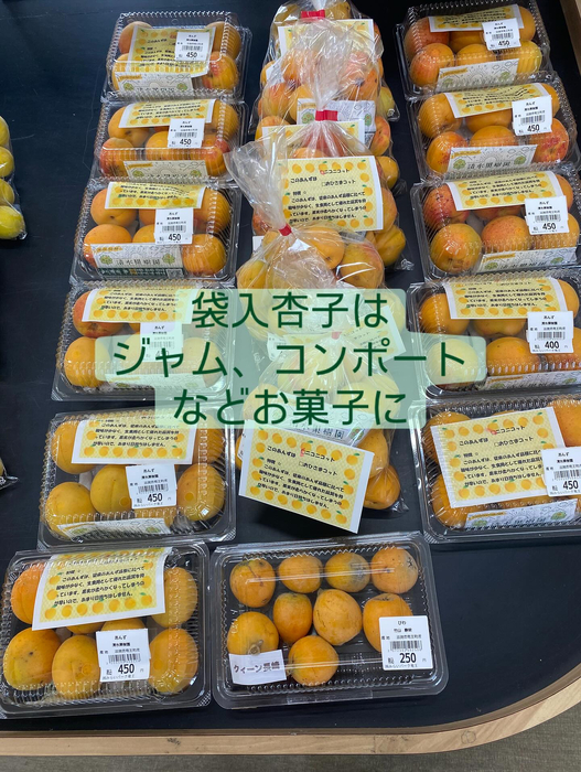 画像664