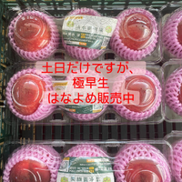 画像665
