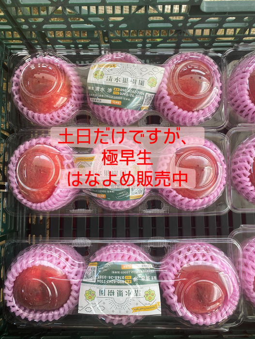 画像665