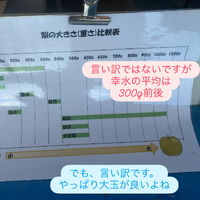 画像670