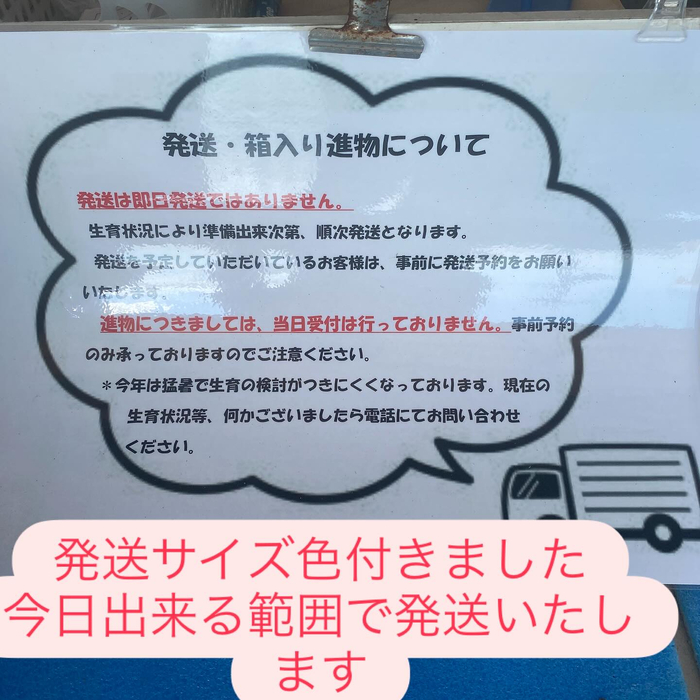 画像671
