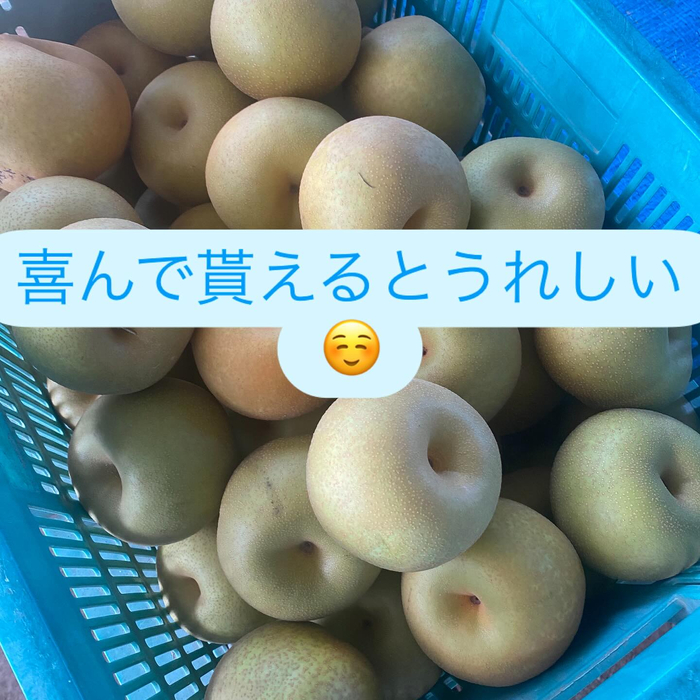 画像672