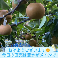 画像674