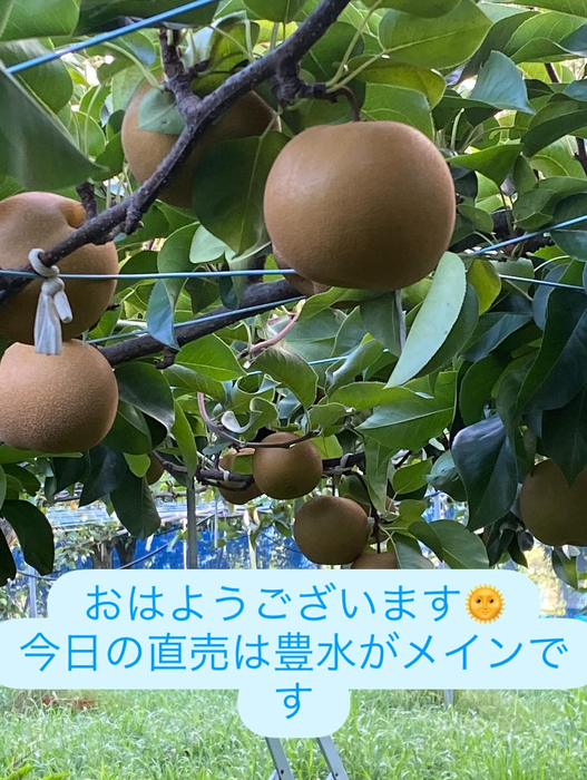 画像674