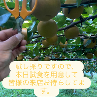 画像675