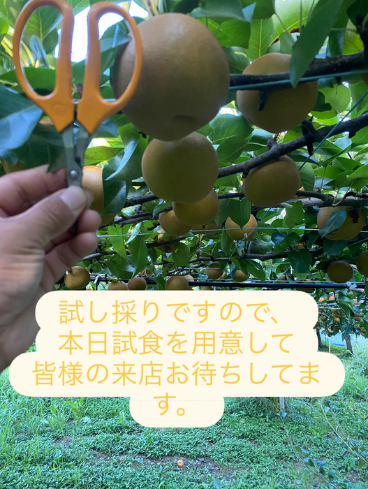 画像675