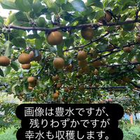 画像676