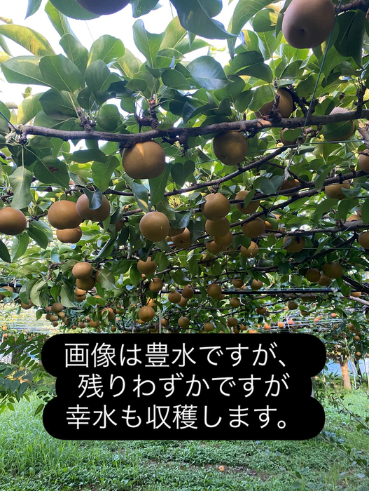 画像676