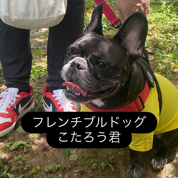画像679