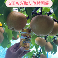 画像682