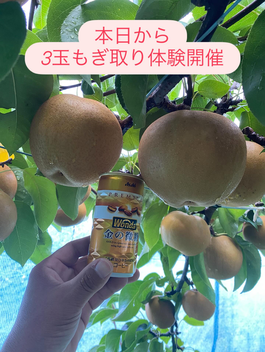 画像682