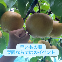 画像683
