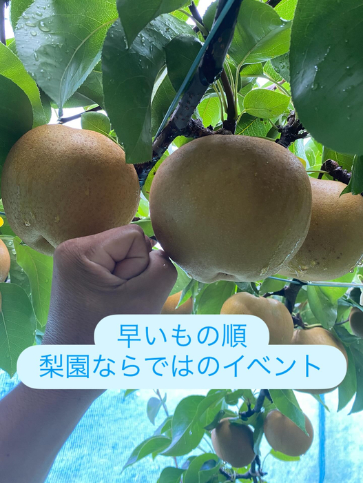 画像683