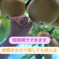 画像684