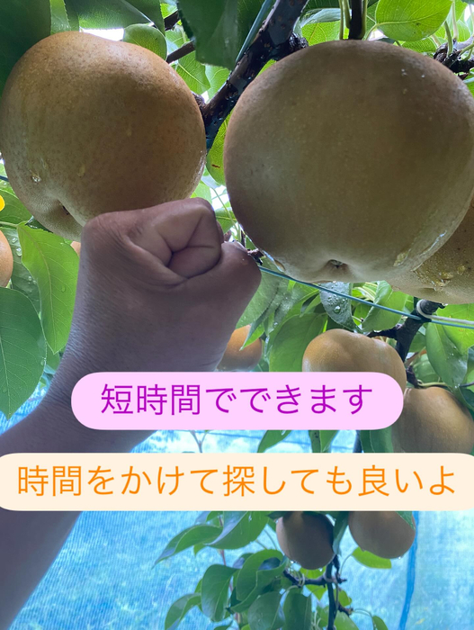 画像684