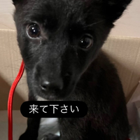 画像685