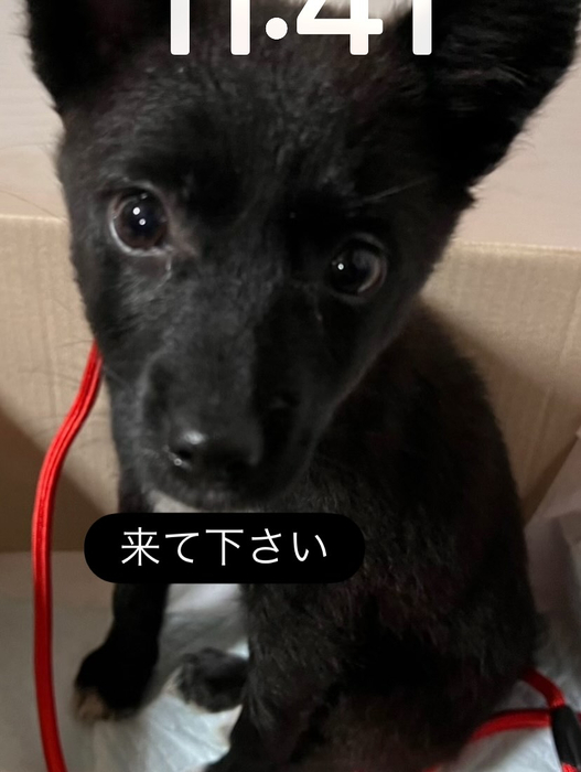 画像685